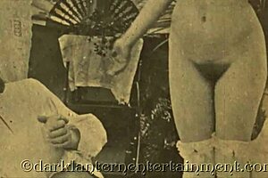 Dark Lantern Presents Stiff As A Poker: Erotic Confessions Of Victorian Gentleman With Hairy Pussy