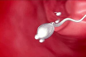 Man, I’m impregnating my girlfriend’s hot mom Lauryn Mae with WCA Productions!