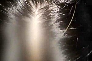 Thanks Ashira! Make Me Cum With That Beautiful Pussy Now!