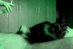 Faby milf from tinder sucks and swallows obediently