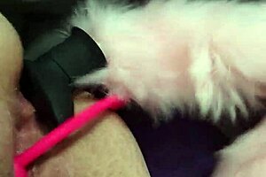 Double Penetration For Chubby Fox MILF