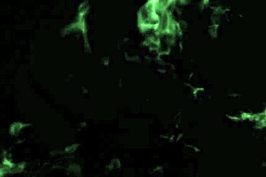 I Fucked My Gym Friend's Big Ass Anal!