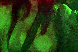 Artemisia Love flashes big tits during night car ride