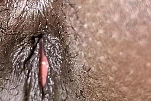 In this free use home, the milf wife gets her pussy used by a muscular black lover.