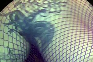 kyoho grapes season 4, what do you think of this variety?