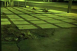 fucked outdoors unless youre from the sixties and dig that earth milf domination with teen 18+ extreme bdsm.