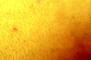 Dozier313 Ass Fucks Ebony Bbw Creampiler