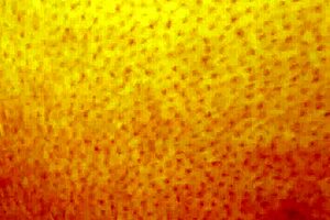 Dozier313 Ass Fucks Ebony Bbw Creampiler