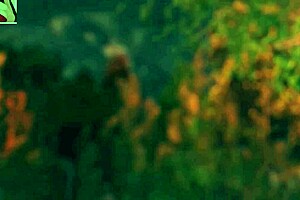 Want a stepmother massage fuck?