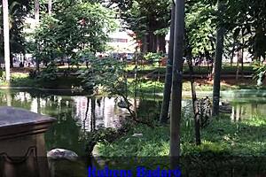 i slammed my cock hard into aninha’s tight ass on the balcony.