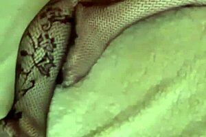 woken up with cum on sexy ass in lingerie