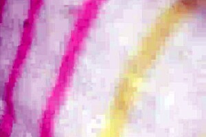 The fat milf gets all wet.