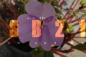 Hot Granny Swallows Big Juicy Load From Her Big Cock Lover!