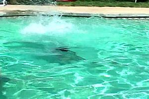 Fucking blonde mature mom on bed