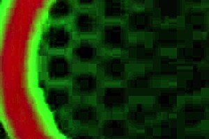 pawg kourtney chase and rome major in sensual encounter