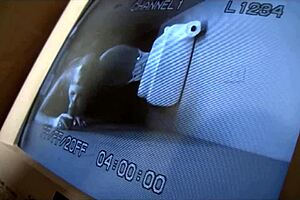 i'm in the toilet rubbin my cunt while swallowin this big black cock