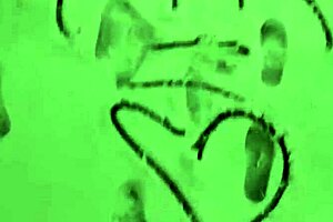 public pussy eating flashing in snow and lots of hot sex