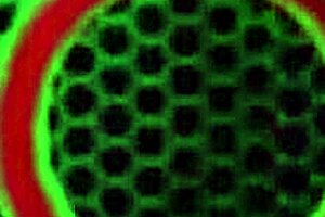 In the kitchen, milf sara jay plays with her pink glass dildo and big tit's