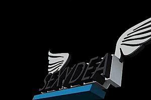 Sexydea POV blowing, girl next door ball licking young lingerie blowjob.