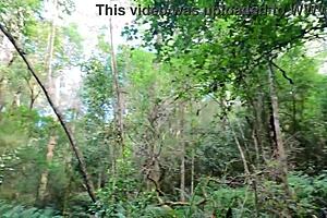 Passionate sex in Eden's garden, hearts racing as we nearly get caught.