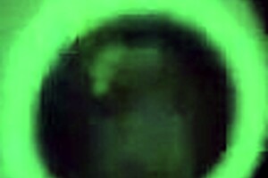 pussy play starring sparksxxx