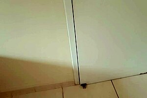 She showed up in lingerie, and I knew my dick would be treated well