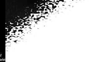 scarlett b wilde answers q&a about her favourite sex toy