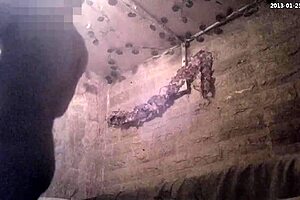 My Mature Anal Is So Intense And Deep And Rough!