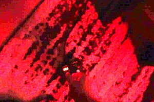 Fucking Sheena Ryder in Sex Dungeon with Big Ass