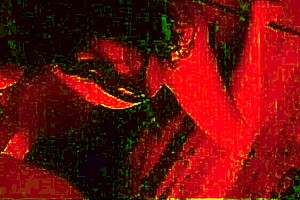 I fucked kali ryder hard