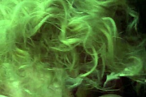 I'm Giving That Good Head