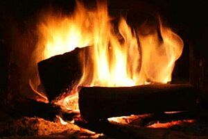 Oh, The Maid's Erotic Tale Of Latina Teen Adventures!