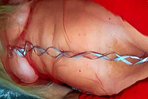 a merry christmas sexy mature lady with natural tits and wet hairy pussy