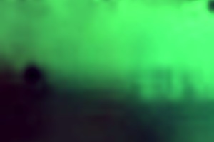 The Fourth Episode Featuring The Wife