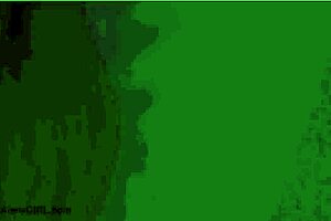 gorgeous asian model sexy body in usa