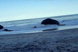 belch praia dia de relaxar with a beautiful brunette by the sea