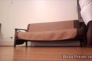 Pizza man gives bareback creampie to big butt cougar milf with monster cock 🍕😉