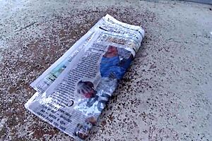 Two blondes with big tits share husband in sack for threesome fun