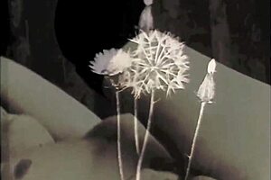 Have you seen my secret life, the greatest erotic story in vintage silents?