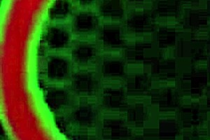 Richelle ryan gets jizzed rome major fucks big ass milf outdoor long hair natural tits bent over sexy anal doggystyle