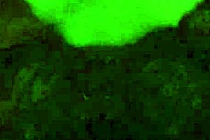 Asian milf bounces on a hard cock, showcasing big bouncing titties in interracial scene