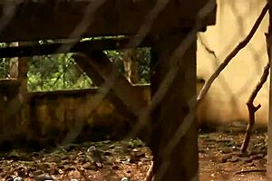 White girl Caroline Sweets gets stretched by BBC in interracial missionary scene - reality 😏