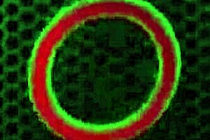 OMG, Penny Pax is rocking her dildo poolside, making it gush everywhere! 😏💦