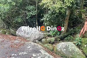 did you see nicolly surprised by the indigenous in the amazon forest?