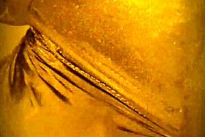 Delicious dick and pussy licking, but ass sucking is my favorite