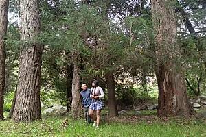 old peasant fucks young college girl in field