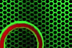 Samantha Rone: 'Ride my dildo like this?'