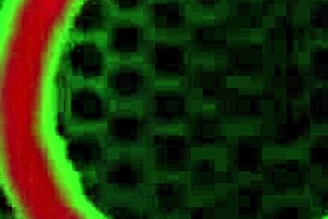 Rome Major Mounts Blonde Curvy Barbi, Making Her White Ass Bounce