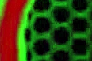 Watch Sara Jay Squirt On Date Night After Getting Stood Up! Her Big Tits And Ass Drive You Wild.