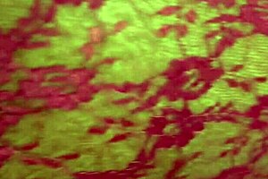 Ms Mystery, Shake That Monster Ass On Mr Eastcyde!